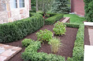 Features of Landscape Designs - Visionary Landscaping