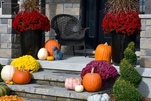 halloween landscaping ideas visionary landscaping michigan